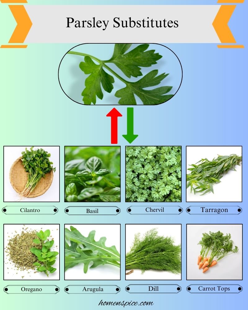 8 Best Parsley Substitutes for Freshness and Flavor