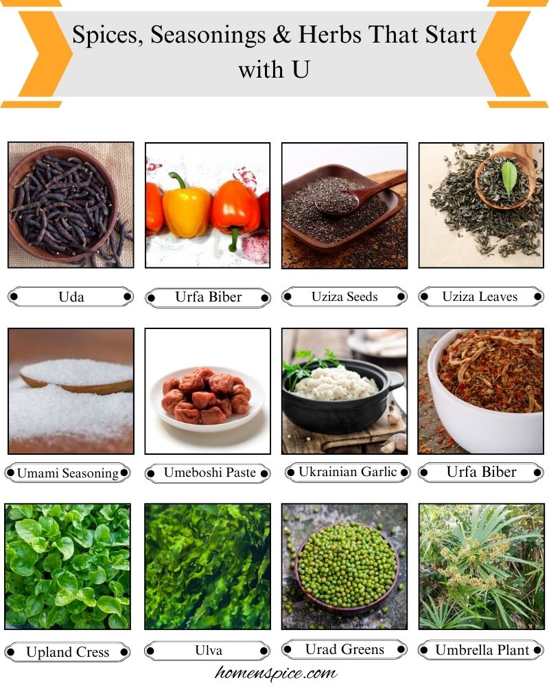 Spices, Seasonings & Herbs that Start with U