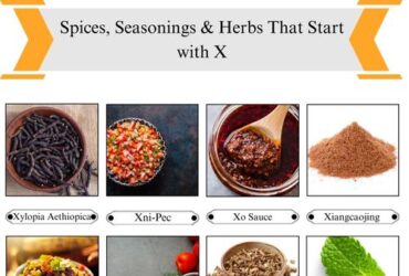 Spices, Seasonings & Herbs that Start with X
