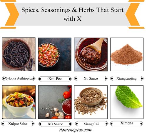 Spices, Seasonings & Herbs that Start with X