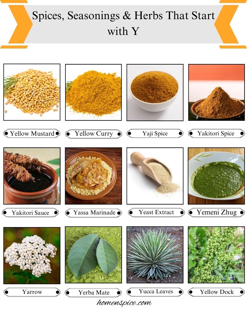 Spices, Seasonings & Herbs that Start with Y
