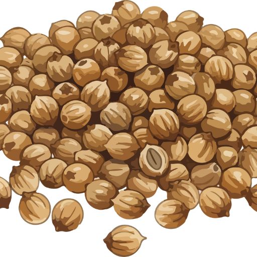 Coriander Seeds
