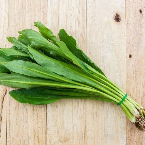 Culantro