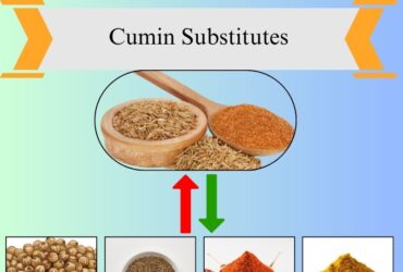 8 Best Cumin Substitutes for Cooking and Flavor