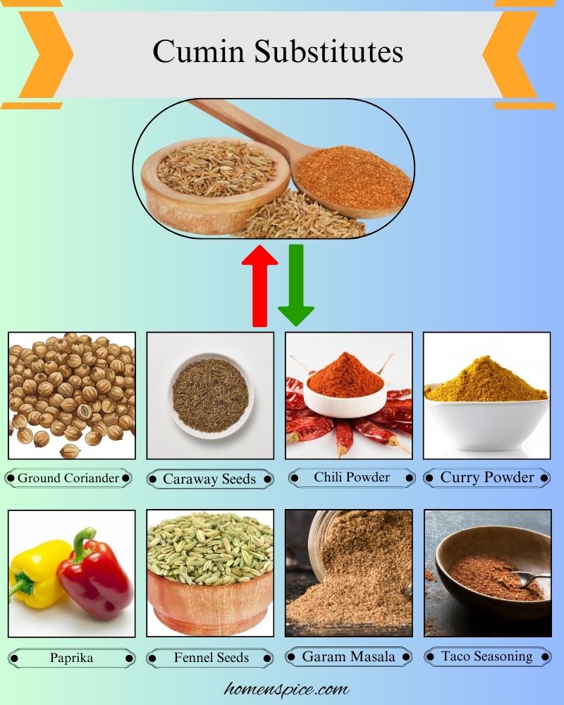 8 Best Cumin Substitutes for Cooking and Flavor