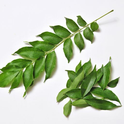 Curry Leaves