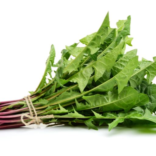 Dandelion Greens