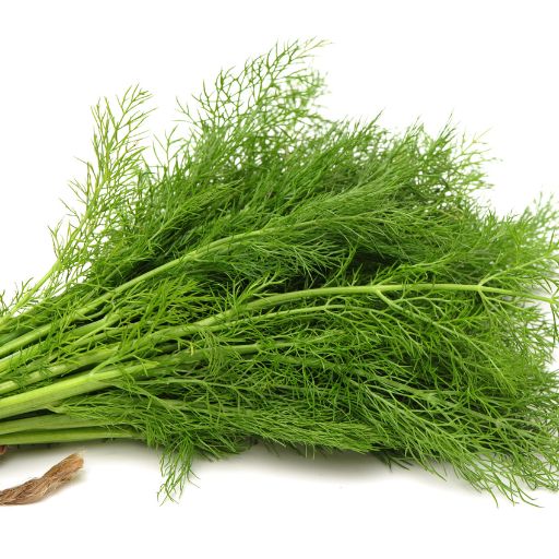 Dill