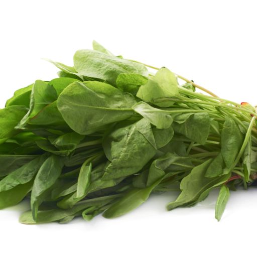 Dock Leaves (Sorrel Varieties)