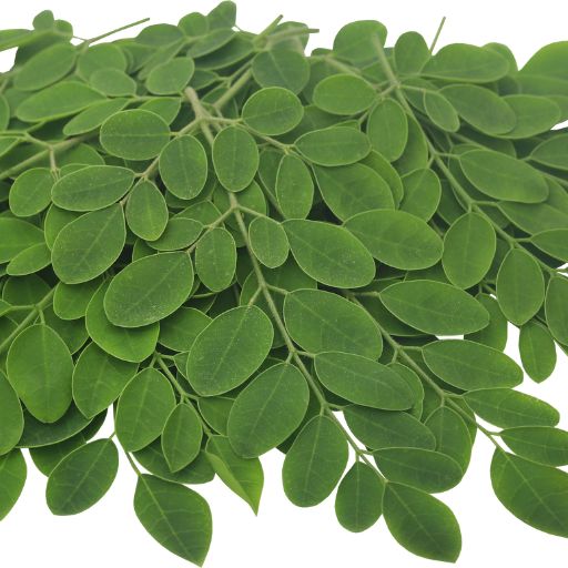Drumstick Leaves (Moringa)