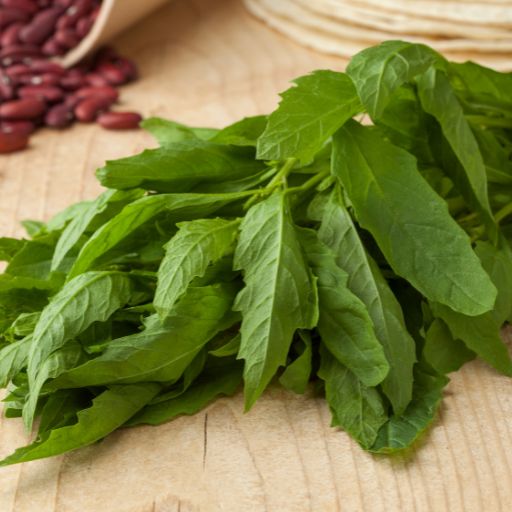 Epazote (Fresh Herb)