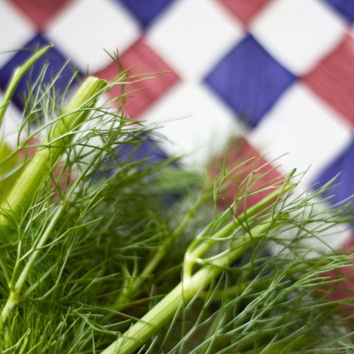 Fennel Fronds