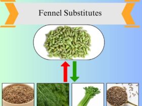 8 Best Fennel Substitutes for Flavorful Cooking