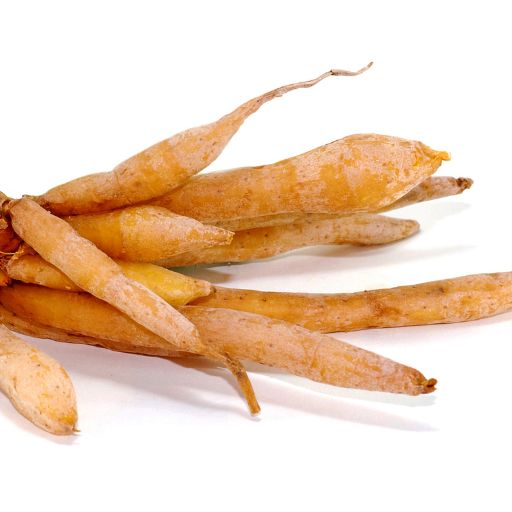 Fingerroot (Chinese Ginger)