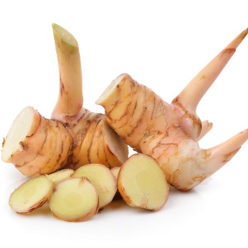 Galangal