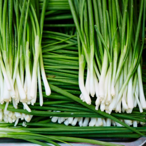 Garlic Chives