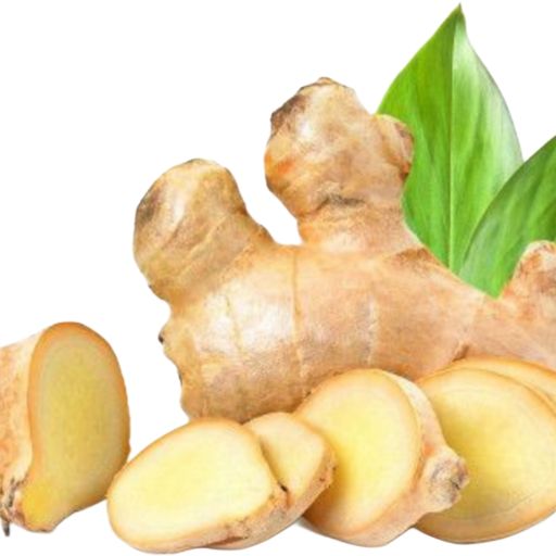 Ginger
