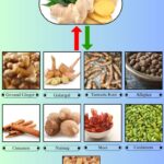 9 Best Ginger Substitutes for Cooking and Baking