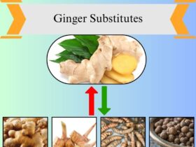 9 Best Ginger Substitutes for Cooking and Baking