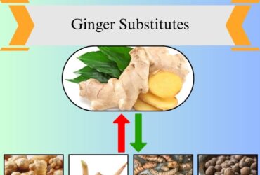 9 Best Ginger Substitutes for Cooking and Baking