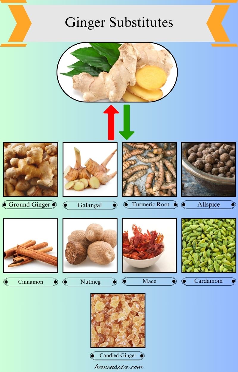 9 Best Ginger Substitutes for Cooking and Baking