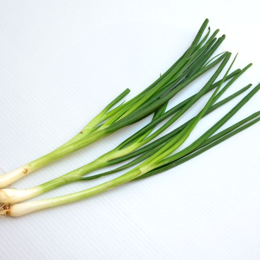 Green Onions
