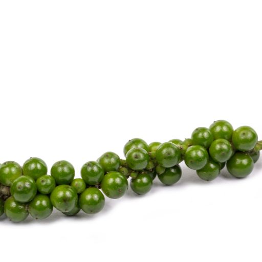 Green Peppercorns