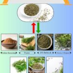 7 Best Substitutes for Herbes de Provence in Cooking