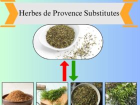7 Best Substitutes for Herbes de Provence in Cooking