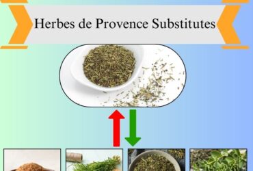 7 Best Substitutes for Herbes de Provence in Cooking
