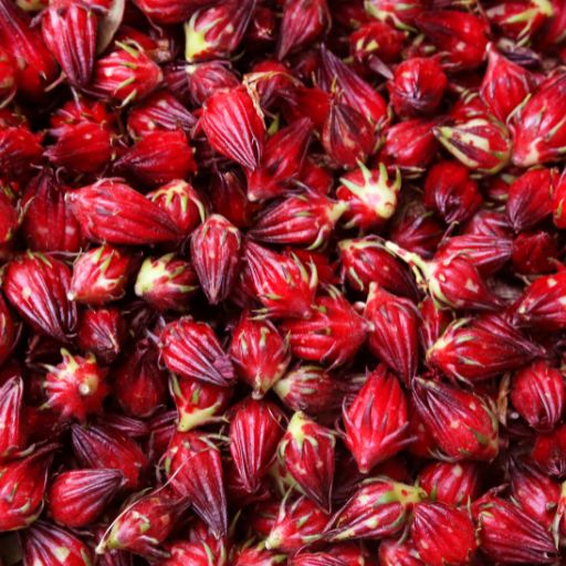 Jamaican Sorrel (Roselle Hibiscus)