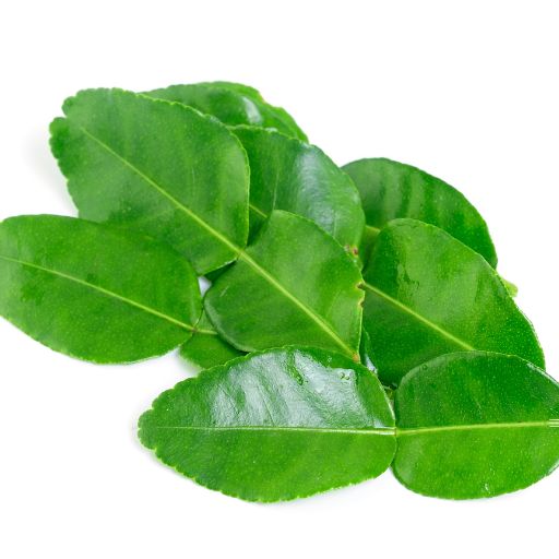 Kaffir Lime Leaves