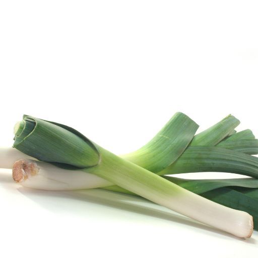 Kurrat (Egyptian Leek)