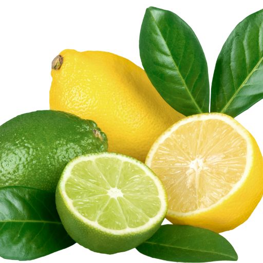 Lemon or Lime Juice