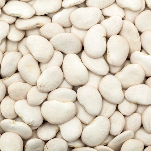 Lima Bean Spice (Roasted & Ground)