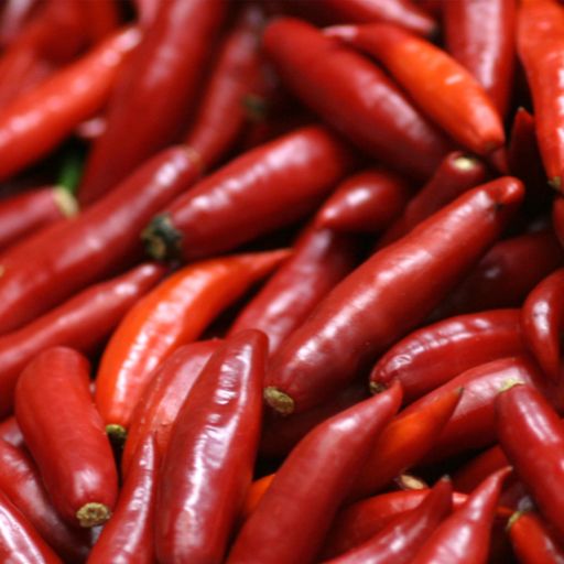Malagueta Pepper