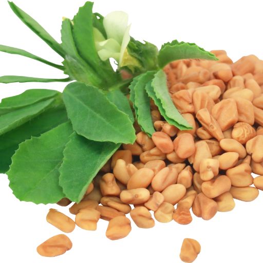 Methi (Fenugreek Leaves)