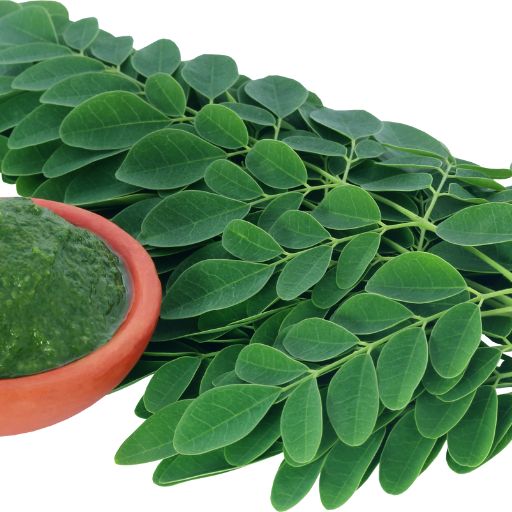 Moringa Leaves