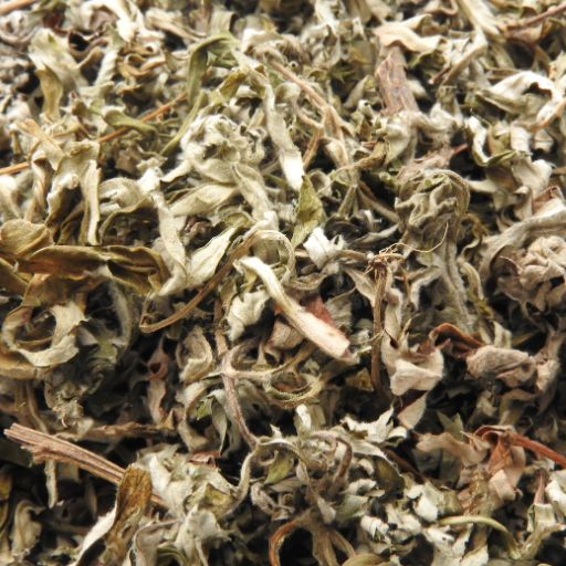 Mugwort (as Spice Herb)