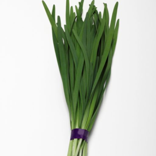 Nira (Garlic Chives)