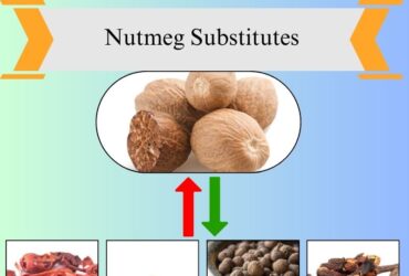 7 Best Nutmeg Substitutes for Baking and Cooking