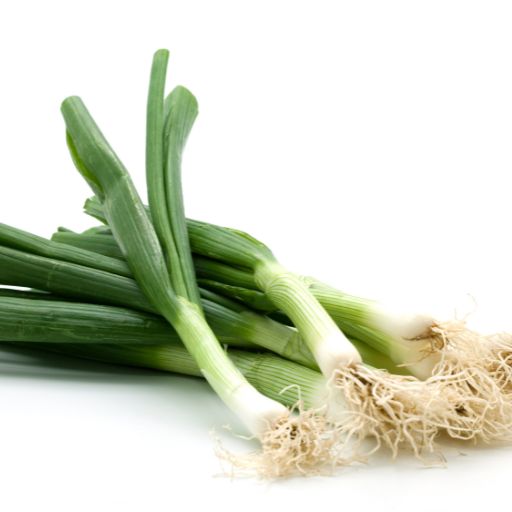 Onion Greens (Spring Onions _ Scallions)