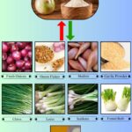 9 Best Onion Powder Substitutes for Cooking and Seasoning