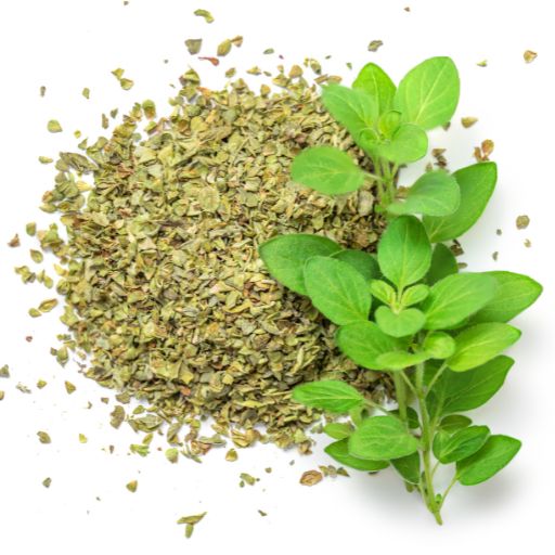 Oregano
