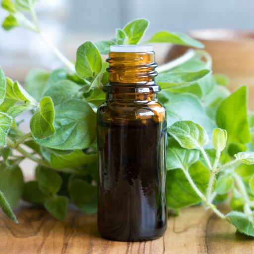 Origanum Oil (Spice Extract)