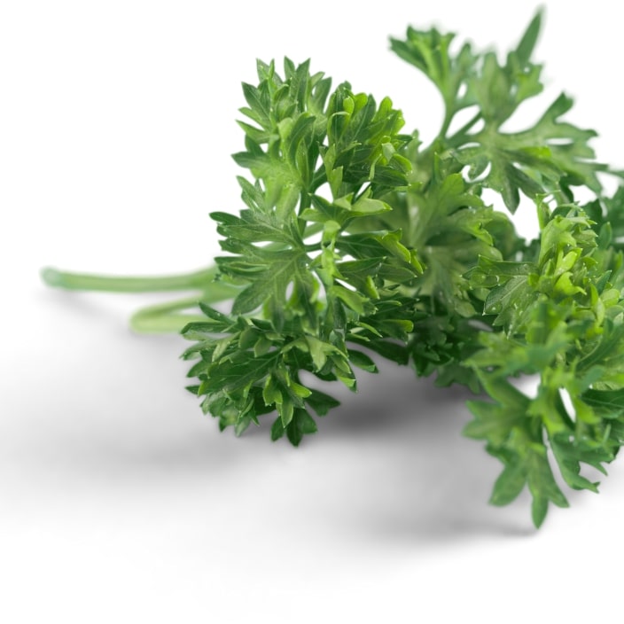 Parsley