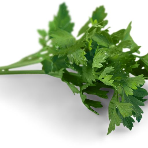 Parsley