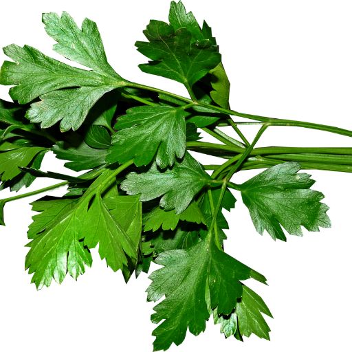 Parsley
