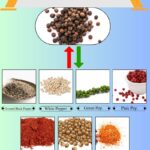 7 Best Peppercorn Substitutes for Cooking and Seasoning