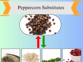 7 Best Peppercorn Substitutes for Cooking and Seasoning